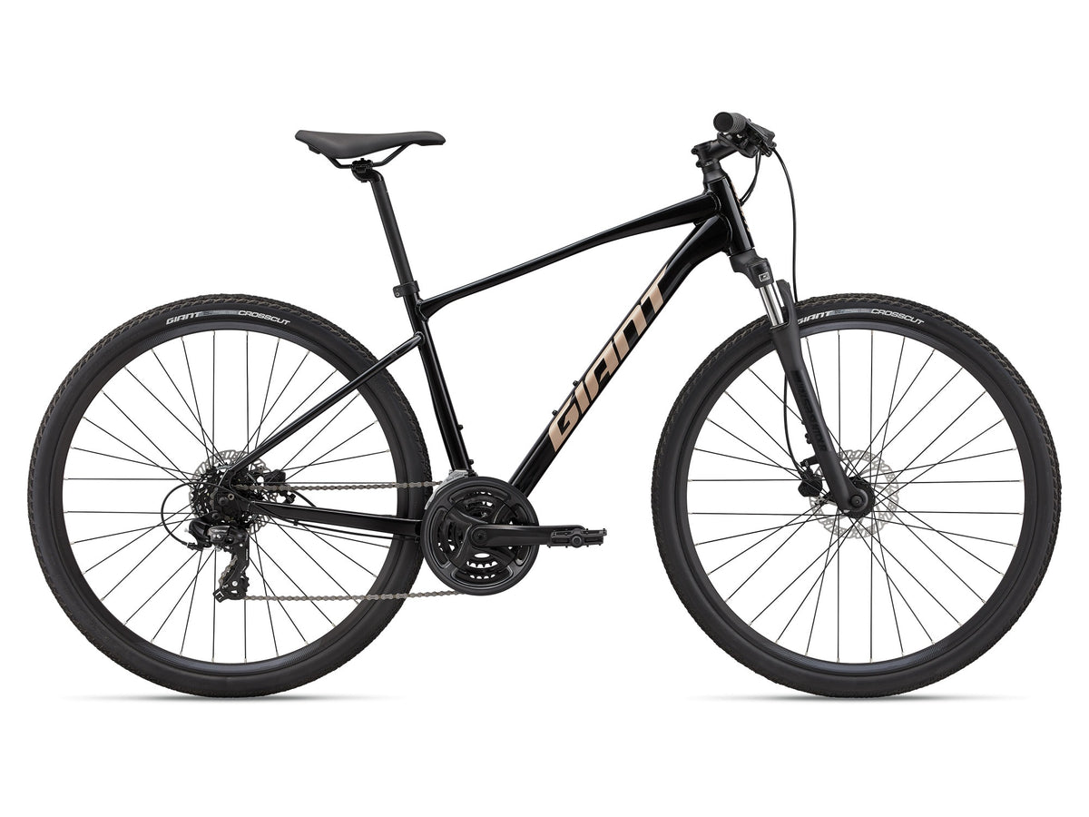 Bicicleta Giant Roam 4 Disc 22 Negro/Bronce