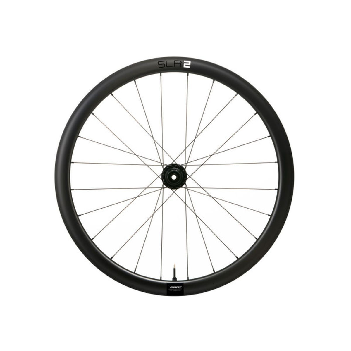 Rueda Giant Trasera SLR 2 42 Disc HookLess P/11V