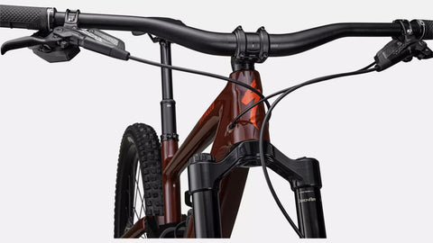 Bicicleta MTB Specialized Enduro Expert Red/RedWood